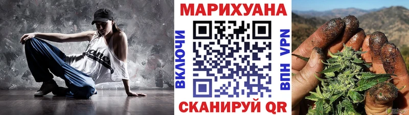 Купить где  Курлово  Бошки марихуана сатива 